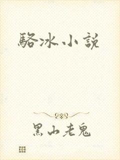 骆冰小说
