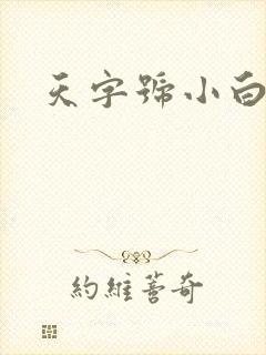 天字号小白脸