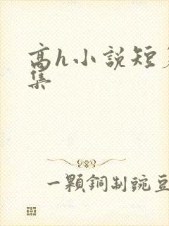 高h小说短篇合集