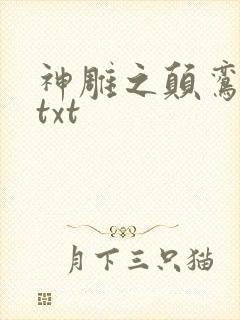 神雕之颠鸾倒凤txt
