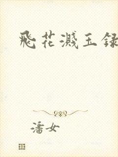 飞花溅玉录
