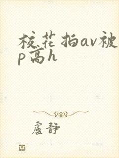 校花拍av被np高h