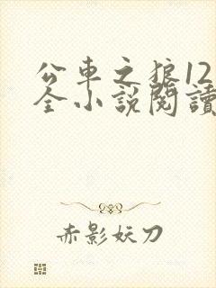 公车之狼12集全小说阅读