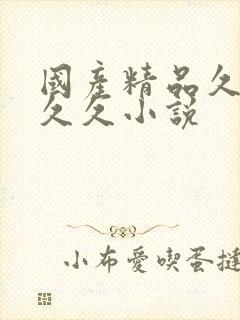 国产精品久久久久久小说