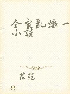全家乱炖一锅烩小说