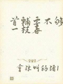 首辅要不够po一枝春