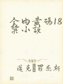 全肉黄码18无禁小说