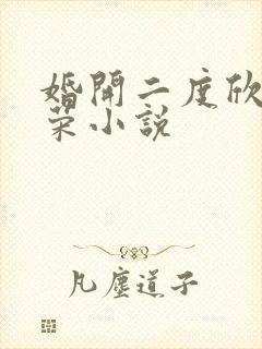 婚开二度欣欣向荣小说