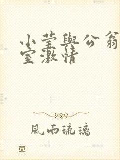 小莹与公翁办公室激情