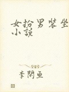 女扮男装坐江山小说