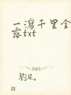 一泻千里金银花露txt