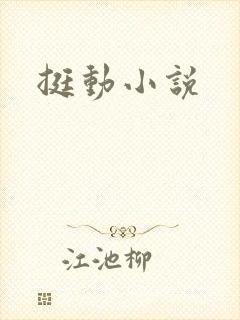挺动小说