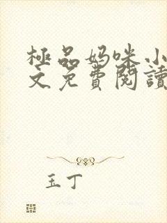 极品妈咪小说全文免费阅读