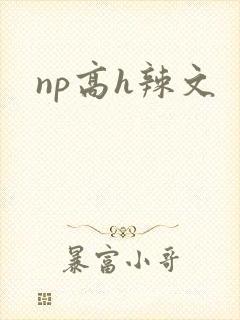 np高h辣文