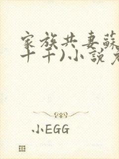 家族共妻苏苏(十千)小说免费