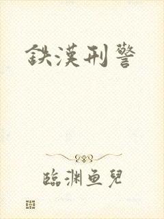 铁汉刑警