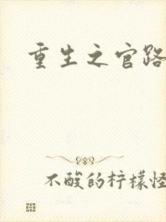 重生之官路风流