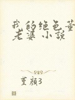 我的绝色董事长老婆 小说