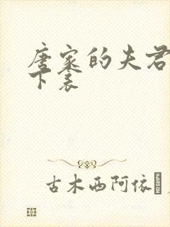 唐家的夫君们帘下衾