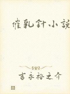 催乳针小说