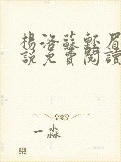 杨洛苏轻眉笔小说免费阅读