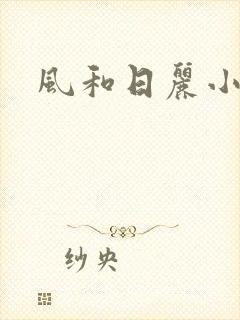 风和日丽小说