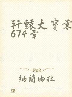 轩辕大宝袁雪妃674章