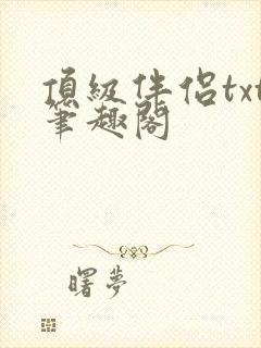 顶级伴侣txt笔趣阁