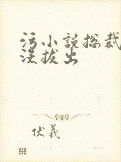 污小说总裁整夜没拔出