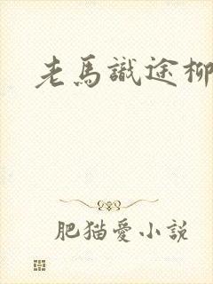 老马识途柳娇娇