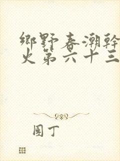 乡野春潮干柴烈火第六十三章
