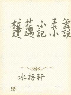 校花小柔舞蹈室遭遇记小说