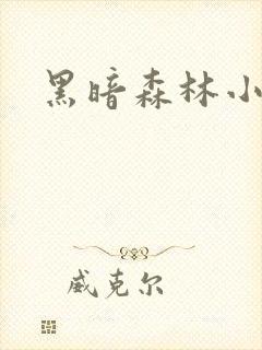 黑暗森林小说