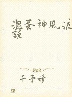 混蛋神风流史小说