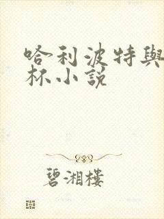 哈利波特与火焰杯小说