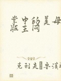 掌中的美母第一版主网