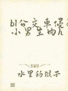 bl公交车侵犯小男生肉h