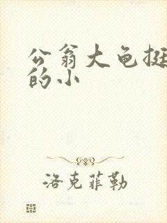 公翁大龟挺进我的小