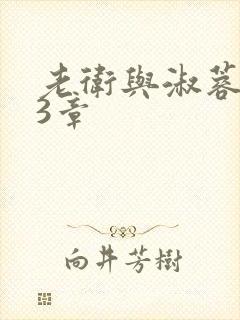 老卫与淑蓉第13章