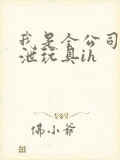 我是全公司的发泄玩具ih