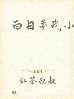 白日梦我小说封面