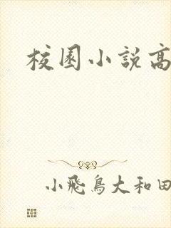 校园小说高h