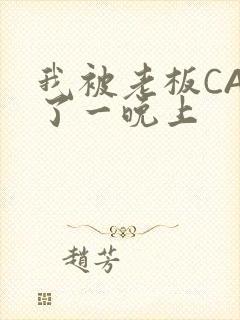 我被老板CAO了一晚上