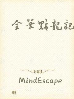 金笔点龙记
