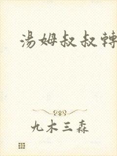 汤姆叔叔转接口