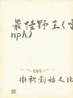 最佳野王(电竞nph)