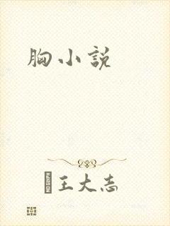 胸小说