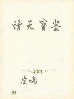 情天宝鉴