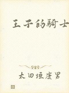 王子的骑士小说