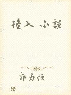 后入 小说